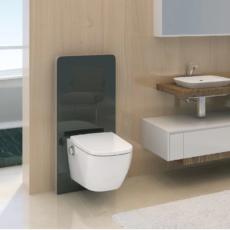 Intelligent Dusch-WC Bidet Toilet Electronic Smart Bidet Series