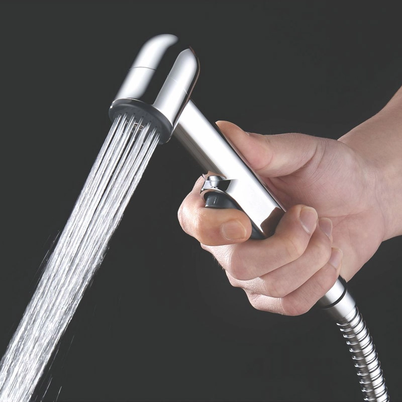 NS-SF64 Hand Held Bidet Sprayer for Toilet CleanSpa