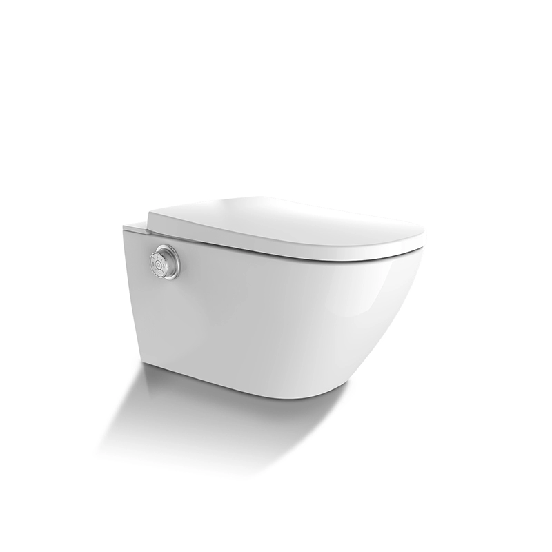 Age care electronic bidet seat for old man