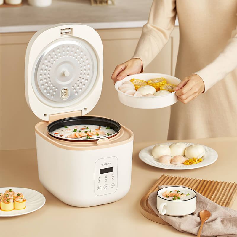 rice cooker home