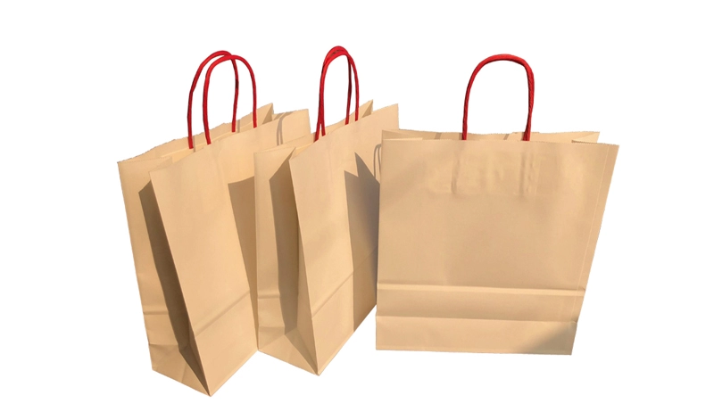 Automatic Paper Shopping Bag Machine with Twisted & Flat Handles Inline