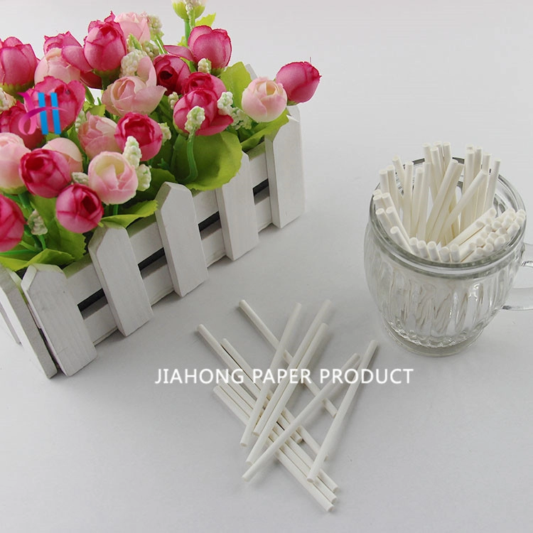 White Solid Core White Cake Sticks For Chocolate Candy Lollipop DIY Tool Wholesale