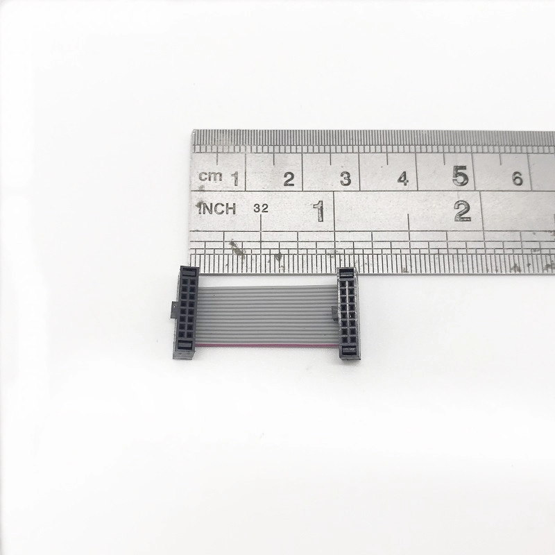 Factory 1" 2.54mm Pitch 2×8Pin IDC Flat Ribbon Cable