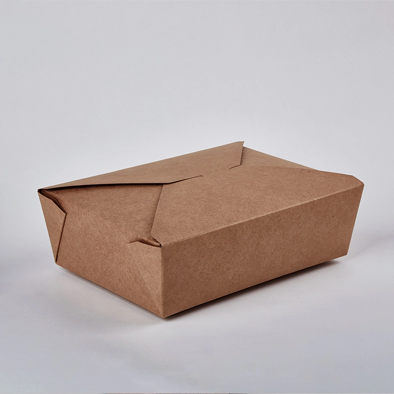 Takeaway Food Grade Disposable Biodegradable Paper Food Box