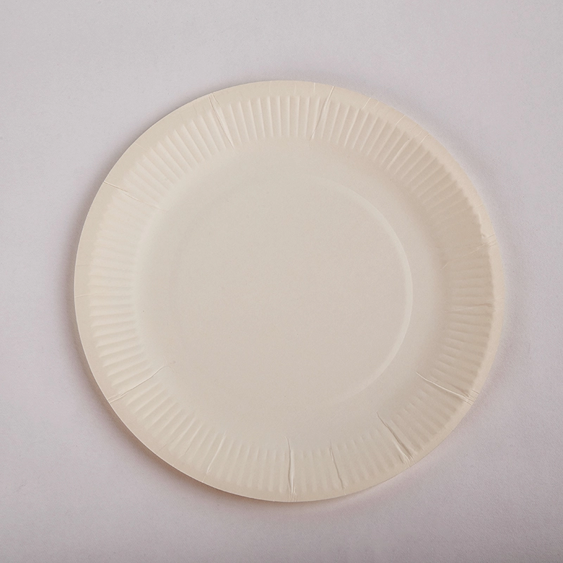 Wholesale Eco Friendly Disposable Party Paper Food Plate