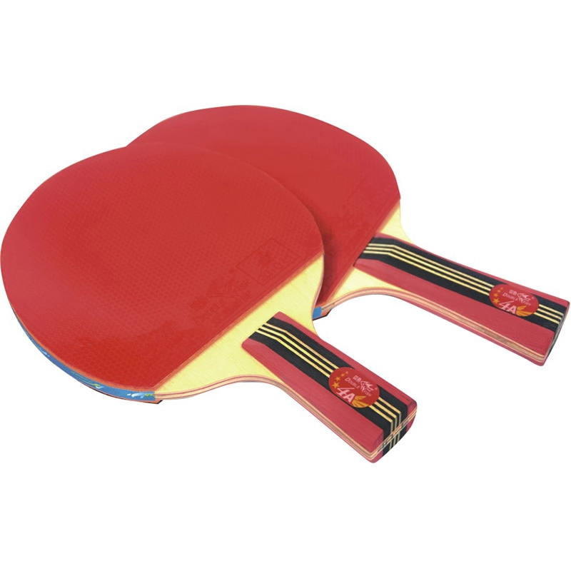 Double Fish Lower Price Table Tennis Racket for Recreation