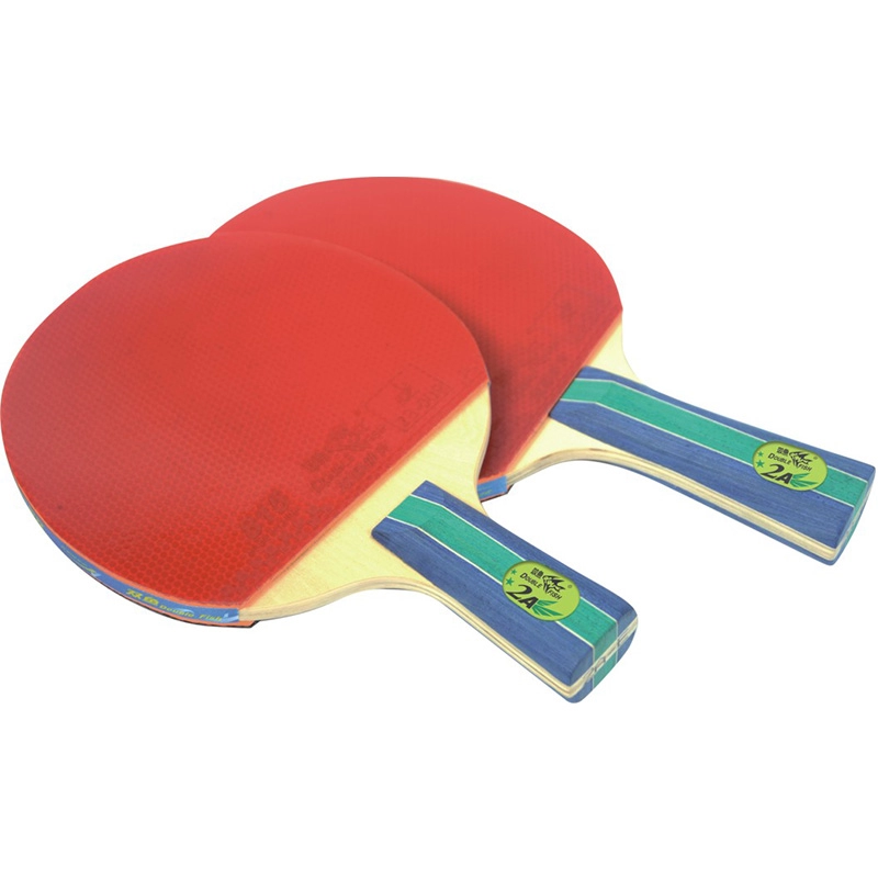 Double Fish Indoor Table Tennis Racket for Recreational Play