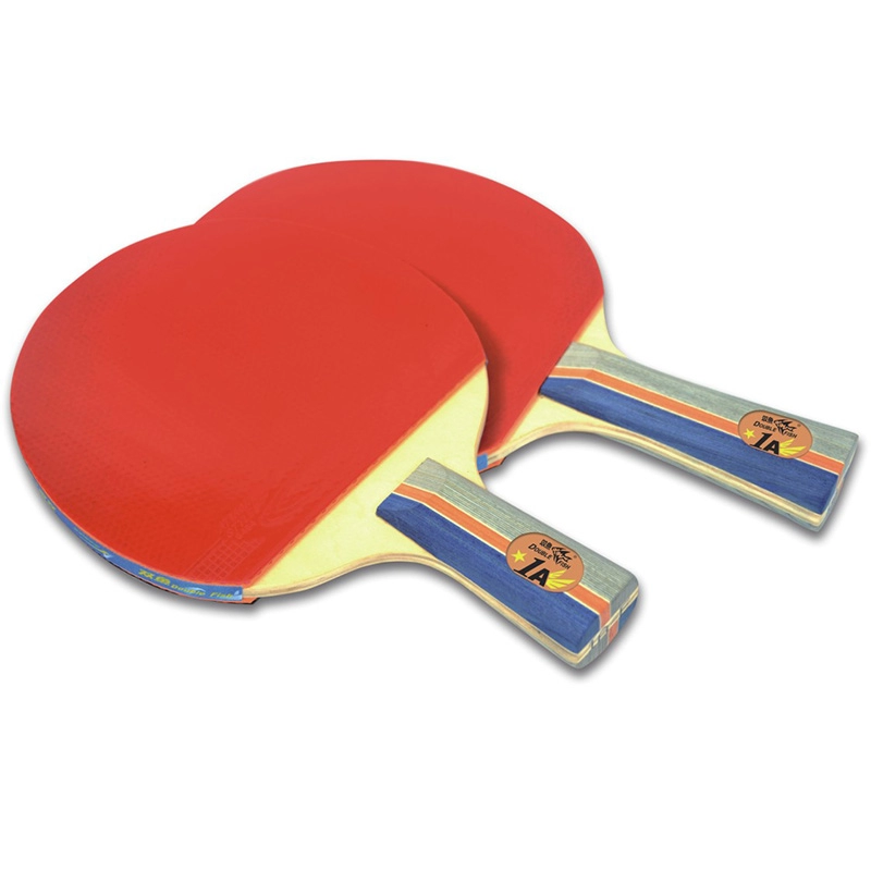 Double Fish Low Price Table Tennis Racket for Beginners