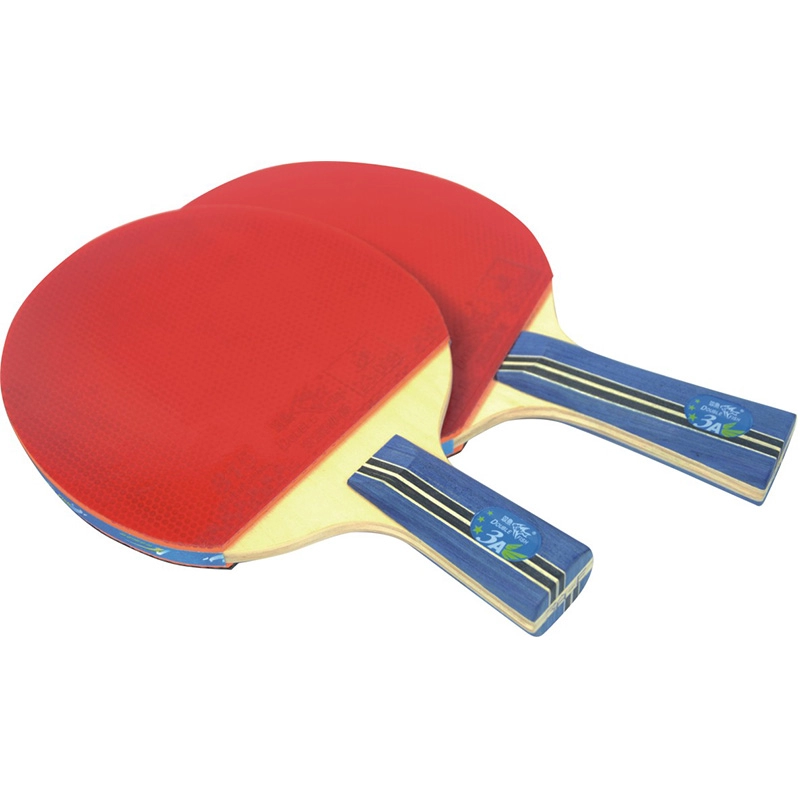 Double Fish Pimples in Table Tennis Racket for Training