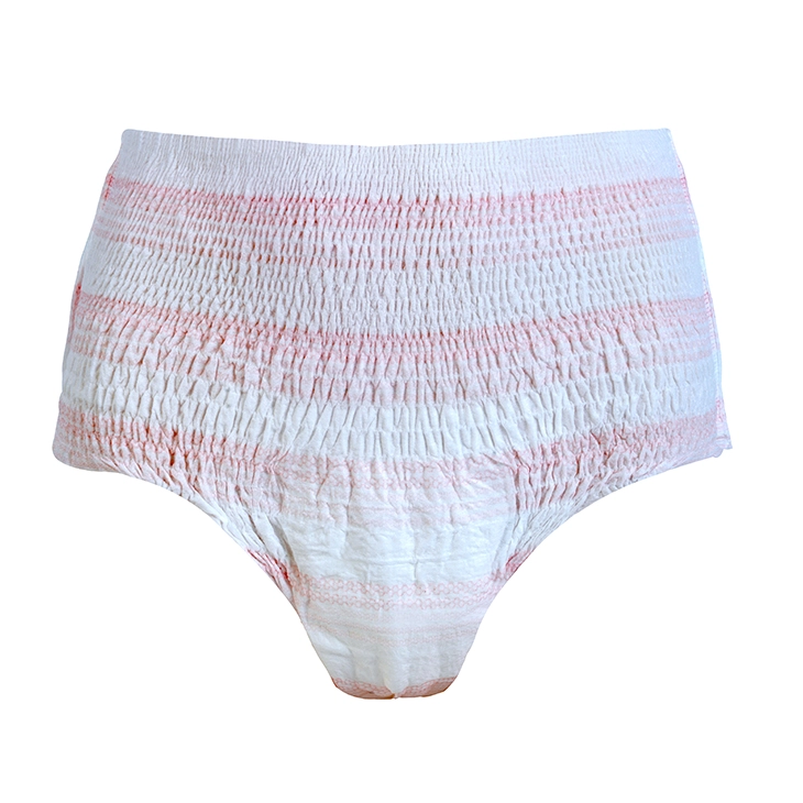Overnight Disposable Period Underwear for Women Postpartum