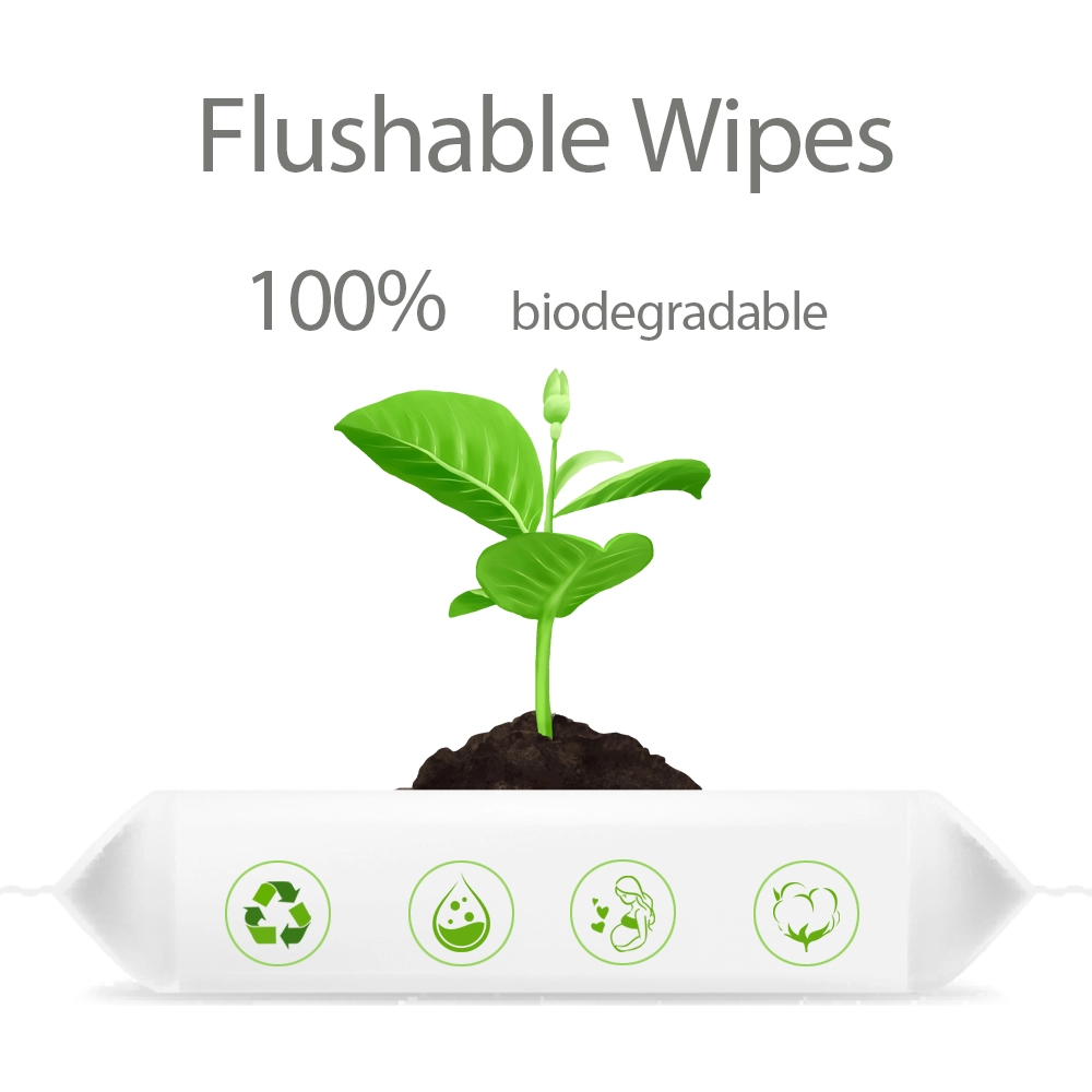 Flushable Wet Wipes for Adults and Kids Moist Toilet Tissue