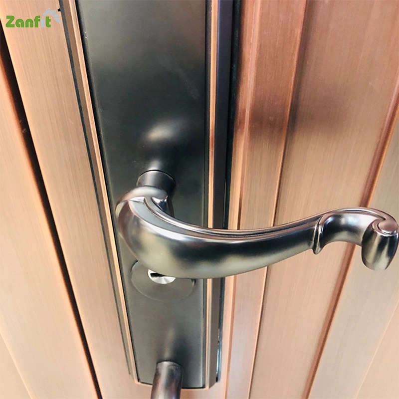 Galvanized Copper Color Steel Security Door