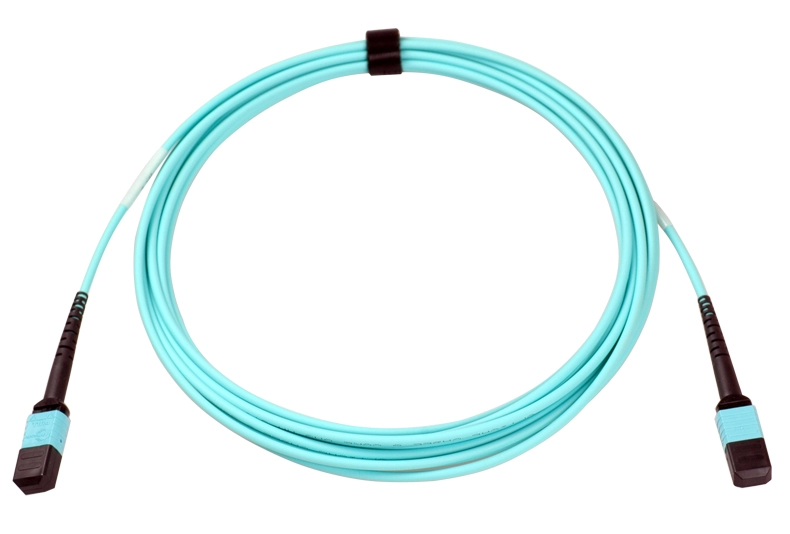 8 Fiber MPO(Male)-MPO(Male) OM3 50/125 Multi-mode Fiber Optic Cable