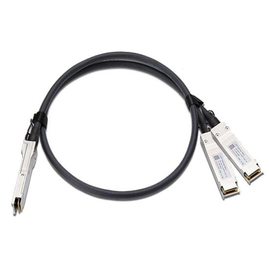 100G QSFP28 to 2x 50G QSFP28 Copper Breakout Cable