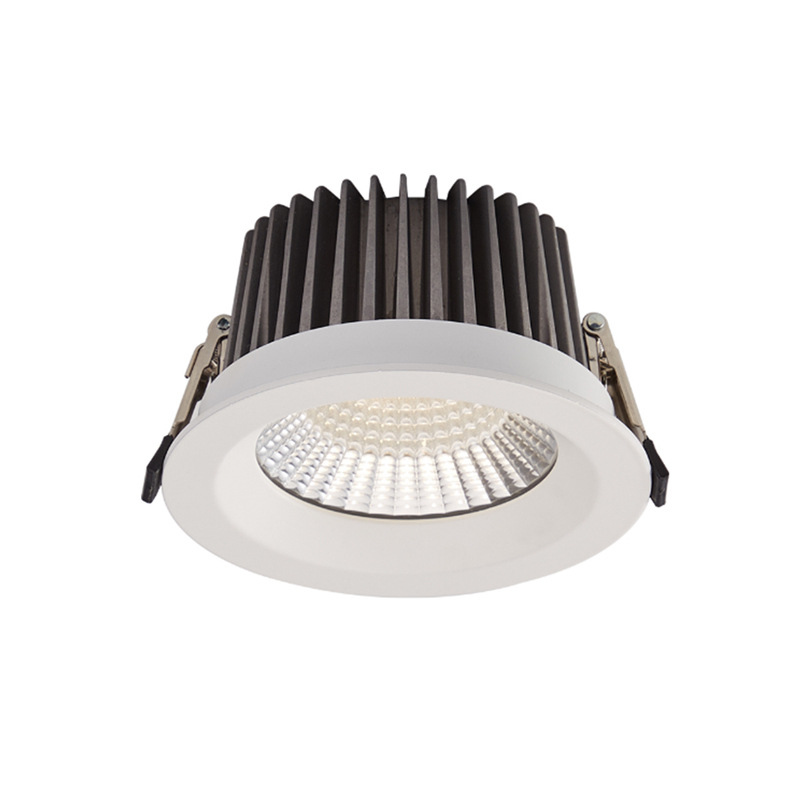 Recessed Led Downlights IP65 Waterproof COB 12W 15W 20W 30W 40W for Semi-outdoor Lighting