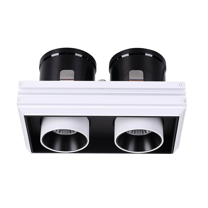 Trimless Led Downlights Rectangle Adjustable Double Head For Commercial Lighting