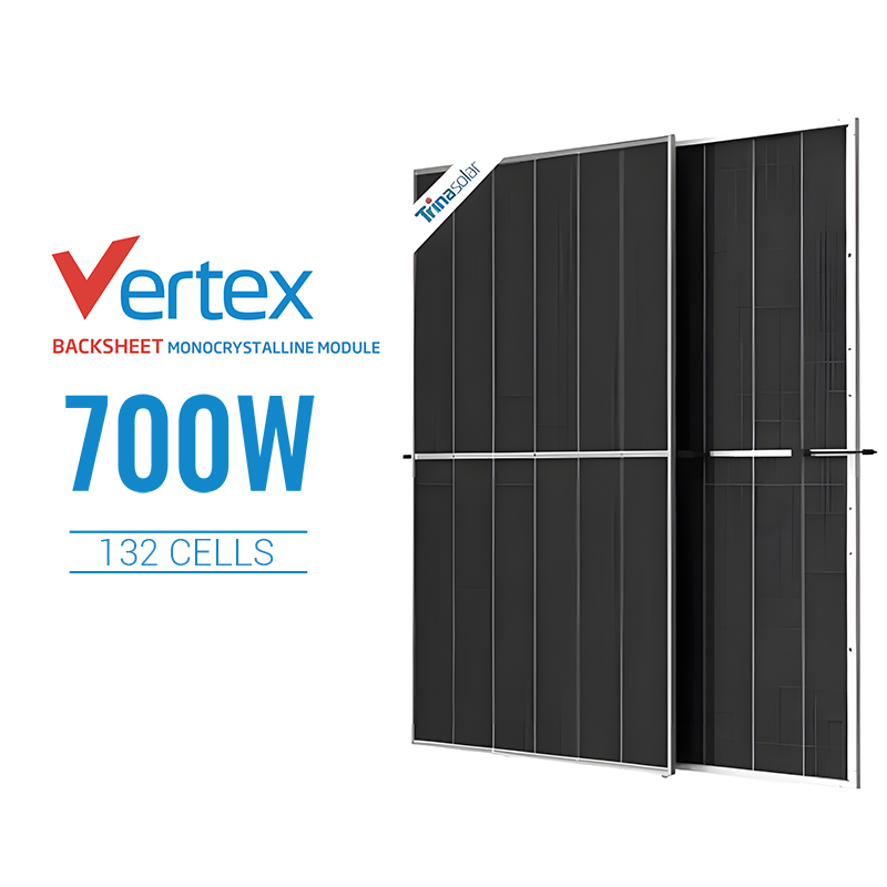 700W High-Power Trina Bifacial Solar Panel